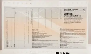 Certificat d'immatriculation français, document essentiel pour tout véhicule, y compris la carte poids lourd.