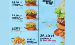 Drwala Klasyczny, Podwójny, z Kurczakiem i z Żurawiną – burgery, które kuszą smakiem i wysokim burger kcal. Obok frytki zakręcone.