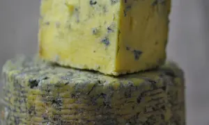 Dwa kawałki żółtego, miękkiego sera pleśniowego z niebieskimi żyłkami, jeden na drugim.