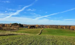 Ile można zarobić na hektarze ziemi? Kluczowe czynniki wpływające na dochody
