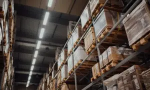 Ile kosztuje wynajem magazynu? Sprawdź ceny i ukryte koszty