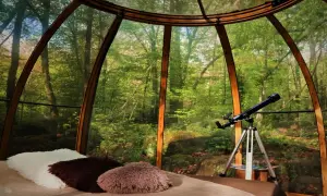 Un télescope prêt pour observer les étoiles depuis ce logement insolite grand est, niché au cœur d'une forêt luxuriante.