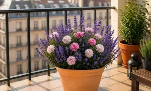 Ein üppiger lavendel balkonkasten mit zarten rosa und weißen Blüten auf einem Pariser Balkon.