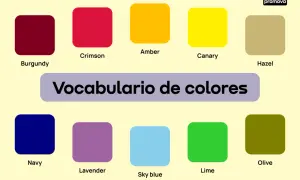Vocabulario de colores en inglés: Burgundy, Crimson, Amber, Canary, Hazel, Navy, Lavender, Sky blue, Lime, Olive.