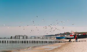 Atrakcje okolic Szczecina, które musisz zobaczyć – nie przegap ich!