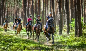 Stadnina koni Kraków: Wybierz idealną! Cennik i pełna oferta
