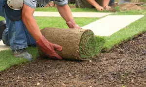 Mann mit Handschuhen rollt Rasen aus, um ihn zu verlegen. Ein weiterer Mann im Hintergrund hilft.