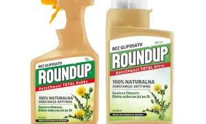 Dwa opakowania Roundup, herbicyd totalny bez glifosatu, z naturalną substancją aktywną. Zwalcza chwasty, efekty widoczne po 2h.