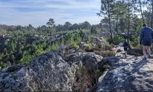 Deux coureurs s'aventurent sur un sentier rocheux dans la forêt de Fontainebleau, entourés de pins et de blocs de grès.