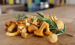 Un mucchio di finferli dorati, che dimostrano come i funghi sono verdure, con rametti di rosmarino su un tagliere di legno.