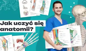 Nauka anatomii: Zdałem! Skuteczne metody i aplikacje 3D