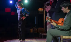 Una bailaora de flamenco, con su falda de flecos y chaqueta bordada, cautiva al público. A su lado, músicos y palmeros acompañan con pasión.