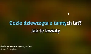 Gdzie są kwiaty - historia, znaczenie i emocje tej piosenki