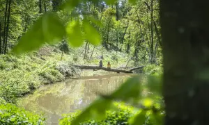 Zwei Personen sitzen auf einem Baumstamm über einem Teich im Wald. Die Fossa Carolina ist ein Ort der Ruhe.
