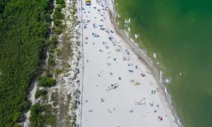 Plaża pełna ludzi, gdzie jest najcieplejsza woda w Bałtyku? Zielone morze, biały piasek i las sosnowy tworzą idealne miejsce na wypoczynek.