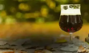 Un bicchiere di birra porter scura con schiuma cremosa, su un tavolo autunnale con foglie cadute.