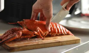Préparation d'un homard pour un accompagnement homard froid. Une main tient le homard pendant qu'une autre le coupe sur une planche à découper.