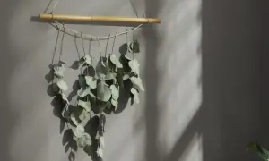 Getrocknete Eukalyptus-Zweige hängen an einem Bambusstab. Ein schönes Deko-Element, das an der Wand trocknet.