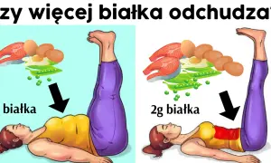 Białko na redukcji: Ile jeść, by spalać tłuszcz i chronić mięśnie?