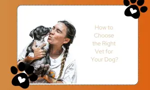 A woman kisses a puppy. Text reads: "How to Choose the Right Vet for Your Dog?