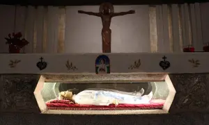 Relikwie najmłodszego świętego spoczywają w szklanej gablocie. Nad nimi drewniany krzyż i wizerunek Matki Bożej.