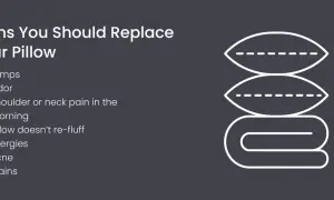 Signs you should replace your pillow: lumps, odor, neck pain, and it won't re-fluff. Consider how often you should replace pillows for better sleep.