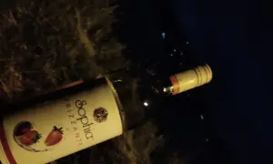 Butelka wina Sophia Frizzante z truskawkami na etykiecie, leżąca na ciemnym tle.