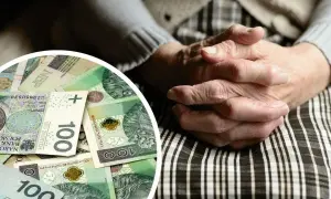 Dłonie starszej osoby splecione na kolanach, obok stos banknotów 100 zł. Symbol wsparcia finansowego, jak 500 plus dla niepełnosprawnych.