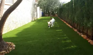 Un perro blanco juega con una pelota azul en un jardín con césped artificial.