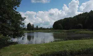 Spokojne łowisko Przemka nad jeziorem, otoczone zielenią i chmurami.