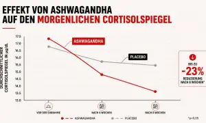 Grafik zeigt, wie Ashwagandha den morgendlichen Cortisolspiegel senkt. Bis zu 23% Reduzierung nach 8 Wochen, was bei der Gewichtsabnahme helfen kann.