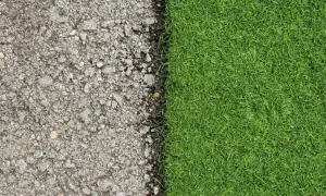 Superficie de asfalto gris y césped natural verde vibrante, mostrando la transición de poner césped artificial sobre césped natural.