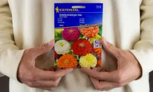 Kiepenkerl - co to za firma i dlaczego warto znać tę markę nasion?
