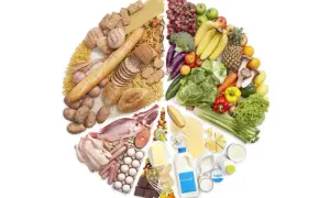 Un assortiment de nourriture : céréales, fruits, légumes, viandes, poissons, œufs, produits laitiers, et sucreries. Savoir quel aliment fait grossir est essentiel pour une alimentation équilibrée.
