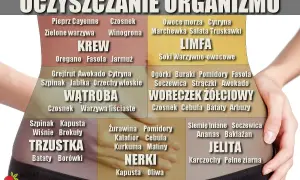 Jak oczyścić organizm przy łuszczycy: lista produktów wspierających krew, wątrobę, trzustkę, jelita, nerki, limfę i woreczek żółciowy.