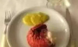Une langouste rouge sur une assiette blanche avec des tranches de citron. On se demande : peut on manger les œufs de langouste ?