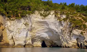 Scogliere bianche e grotte marine, un vero spettacolo da vedere a Vieste, con la macchia mediterranea che abbraccia la costa.