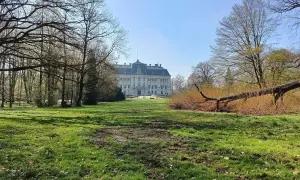 Pałac w Pszczynie, jedna z głównych atrakcji regionu, otoczony parkiem z powalonym drzewem.