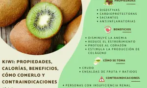 Kiwi: propiedades digestivas, cardioprotectoras y antiinflamatorias. Beneficios para la anemia y el corazón.