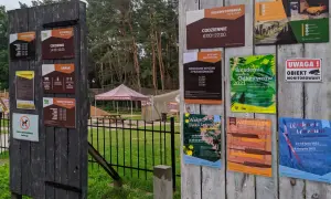Park Linowy Lubin: Trasy, ceny, godziny zaplanuj przygodę!