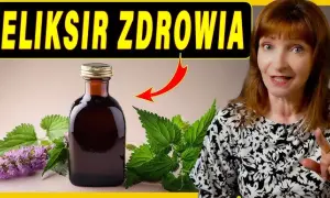 Jak zrobić domowe ekstrakty? Ziołowe eliksiry krok po kroku