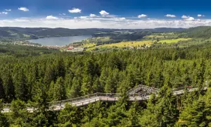 Der Baumwipfelpfad Lipno schlängelt sich durch einen dichten Nadelwald. Im Hintergrund liegt ein See mit einer kleinen Stadt.