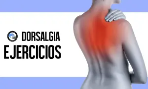 ¿Contractura en la espalda alta? Alivia el dolor y prevénla.