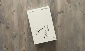 Okładka książki "Światłoczułość" Jakuba Jarno. Na białym tle, stylizowana grafika zapałek, jakby symbolizująca jutrzenkę.