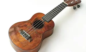 Drewniane ukulele, gotowe do zagrania pięknych akordów ukulele.