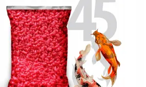 Ile kosztuje karma dla rybek? Zaskakujące ceny różnych produktów