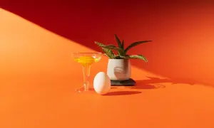 Uovo, bicchiere con tuorlo e pianta in vaso su sfondo arancione. Un'elegante composizione in stile still life moda.