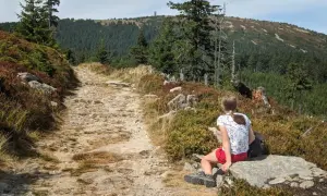 Dziewczynka odpoczywa na kamieniu przy kamienistym szlaku. W tle gęsty las i góra z wieżą. Piękny widok na śnieżnik szlaki.