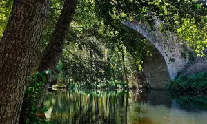 Puente de piedra sobre un río tranquilo, reflejando árboles frondosos. Un rincón idílico en Montemayor del Río, como una piscina natural.