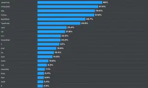 Graphique montrant les langages informatiques les plus utilisés : JavaScript domine avec 66%, suivi de HTML/CSS et SQL.